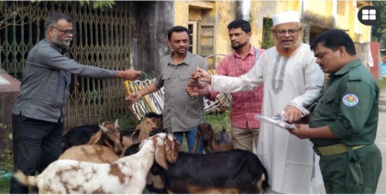 ১৫ ছাগলের এক বছরের জেল, মুক্তি পেল ৯টি