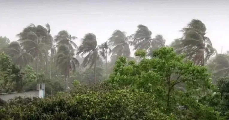 যেসব এলাকায় ৮০ কি.মি. বেগে ঝড় হতে পারে