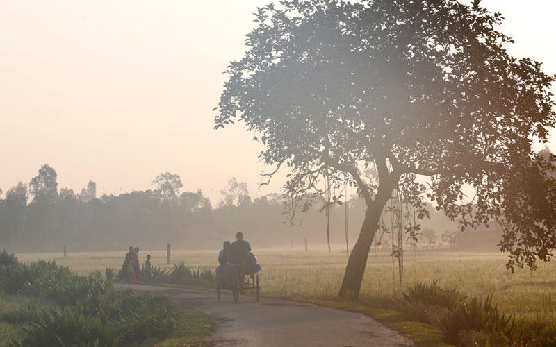 আবহাওয়া নিয়ে দুঃসংবাদ: আবারও শৈত্যপ্রবাহের আশঙ্কা