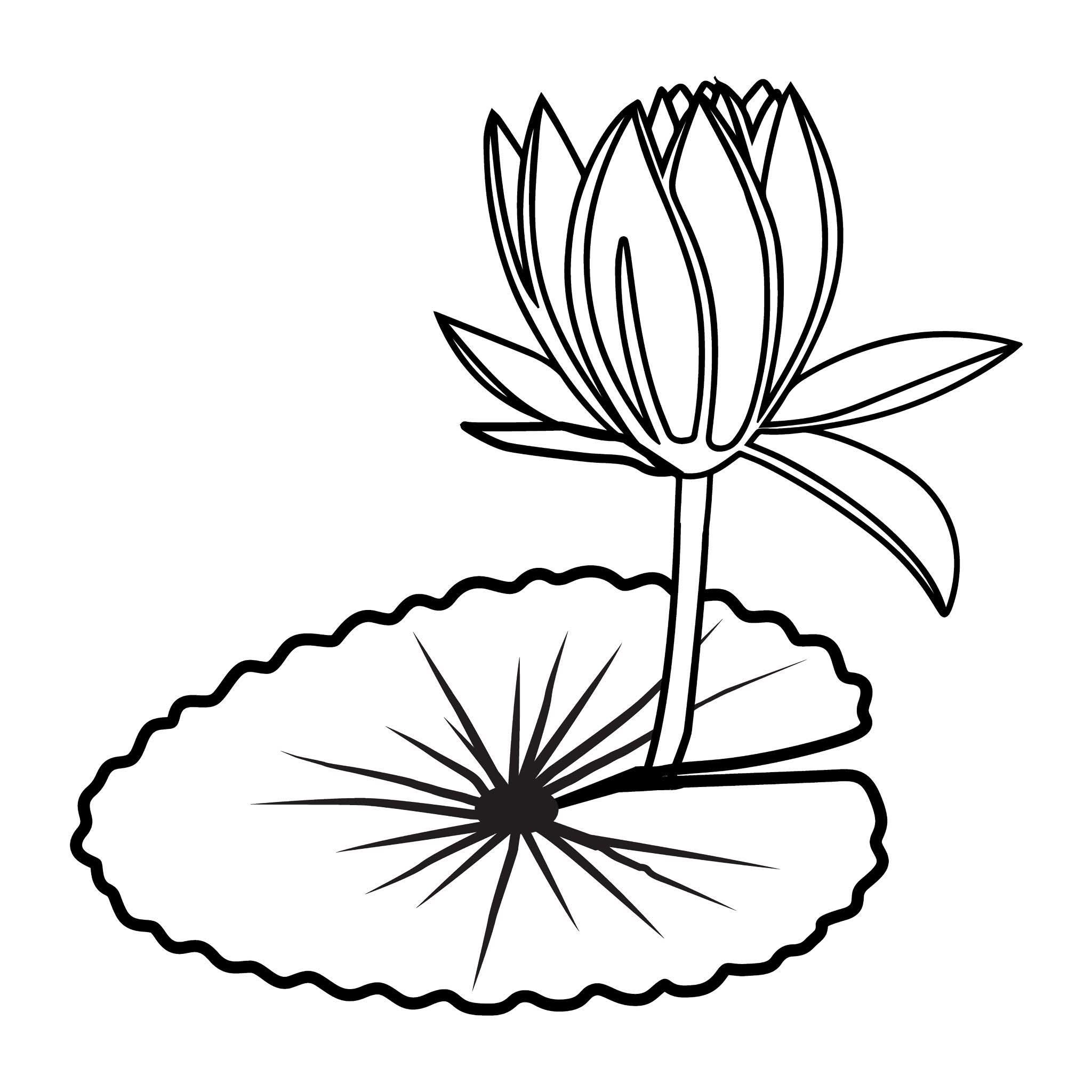 নির্বাচন কমিশনের নতুন প্রতীকে বিতর্ক