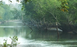 সুন্দরবনে পর্যটকদের জন্য সুখবর