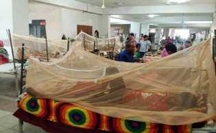 মশা নিধনে স্প্রে আর ফগিং যে কারণে কাজে আসছে না