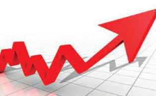 অস্বাভাবিক দর বাড়ার কারণ জানে না ২ কোম্পানি