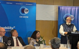 এটা স্যাংশন নয়, ভিসা রেস্ট্রিকশনঃ সালমান এফ রহমান
