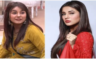 বলিউডে কাজ পেতে কী মাশুল গুনতে হয়, জানালেন শেহনাজ