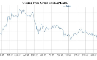 কারসাজিকারীদের দ্বন্দ্বের জেরে সী পার্লের শেয়ারে বড় ধস