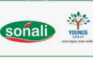অ্যালুমিনিয়াম ফয়েল উৎপাদন করবে সোনালী পেপার