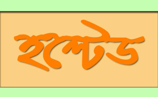 বড় পতনের মধ্যেও শেয়ার পায়নি ৭ কোম্পানির বিনিয়োগকারীরা