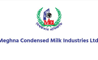 মেঘনা কনডেন্সড মিল্ক নিয়ে শঙ্কা প্রকাশ করল নিরীক্ষক