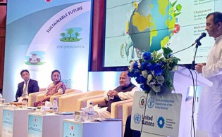 প্রকৃতির সঙ্গে যুদ্ধ করে বেশি দিন টিকে থাকা যায় না: পরিবেশমন্ত্রী
