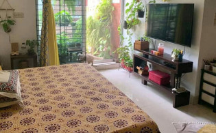 এসি ছাড়াই যে কাজে ঘরের তাপমাত্রা কমবে ৫ ডিগ্রি