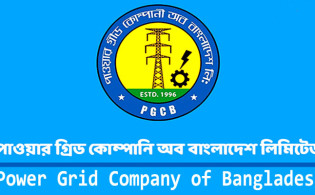 সোমবারও বাজার মূলধনের শীর্ষে পাওয়ারগ্রিড