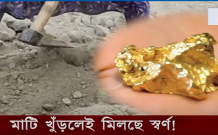 ঠাকুরগাঁওয়ের রাণীশংকৈলে মাটি খুঁড়লেই মিলছে স্বর্ণ!
