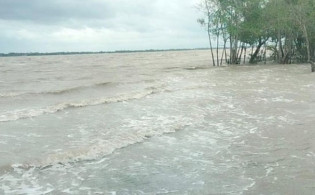 চার ফুট উচ্চতার জলোচ্ছ্বাসে ডুবে গেছে সুন্দরবন