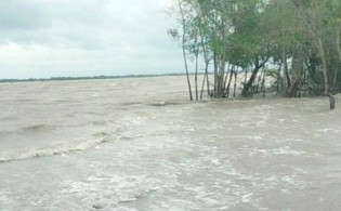 ঘূর্ণিঝড় রেমাল: চার ফুট উচ্চতার জলোচ্ছ্বাসে প্লাবিত সুন্দরবন