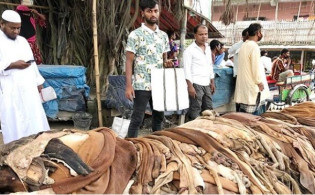 গরুর চামড়ার দাম নির্ধারণ, ঢাকায় ১২০০, বাইরে ১০০০