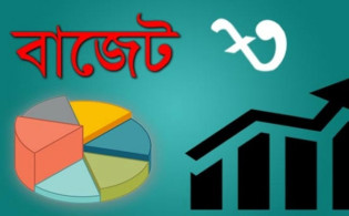 আসছে বাজেটে কমতে পারে যেসব পণ্যের দাম