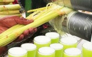 রাজধানীর ফুটপাতে ৬ খাবারে মিলেছে ডায়রিয়ার জীবাণু