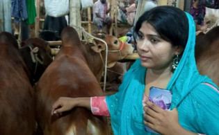 পশুর হাটে একমাত্র নারী ব্যাপারী স্নাতকোত্তর সালমা