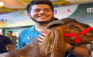 এনবিআর কর্মকর্তার ছেলের ৫২ লাখ টাকার কোরবানির পশু