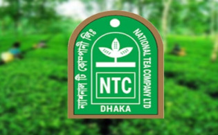 ন্যাশনাল টি’র নতুন শেয়ারের আবেদন জমার সময়সূচি প্রকাশ
