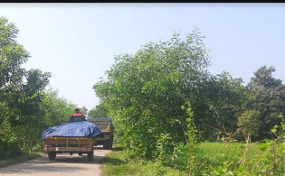 চোরাচালানের নগরী ছাগলনাইয়ায় কমিশন পেয়ে চাঙ্গা পুলিশ ও বিজিবি