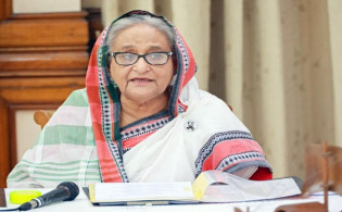 নাশকতাকারীরা সন্ত্রাসী, শক্ত হাতে দমন করুন: প্রধানমন্ত্রী