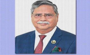 অন্তর্বর্তী সরকার যত দ্রুত সম্ভব নির্বাচন দেবে: রাষ্ট্রপতি