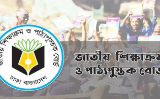 নতুন শিক্ষা কারিকুলামের বেশ কিছু কার্যক্রম স্থগিত