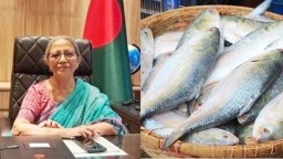 ভারতে ইলিশ পাঠানোর বিষয়ে যা বললেন প্রাণিসম্পদ উপদেষ্টা