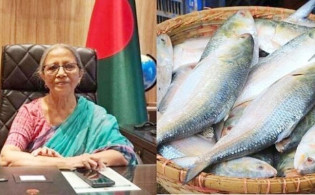ভারতে ইলিশ পাঠানোর বিষয়ে যা বললেন প্রাণিসম্পদ উপদেষ্টা
