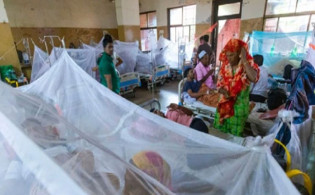 ডেঙ্গুতে একদিনে আক্রান্ত ৩১৭ জন, মৃত্যু নেই
