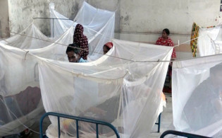 ডেঙ্গুতে আরো ২ জনের মৃত্যু