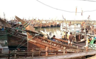 সাগরে ২২ দিন ইলিশ ধরা নিষিদ্ধ হচ্ছে মধ্যরাতে