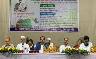 ভারত থেকে প্রবাসী সরকারের ঘোষণা দিতে চায় আ.লীগ