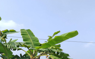 স্বাভাবিক থাকবে আবহাওয়া