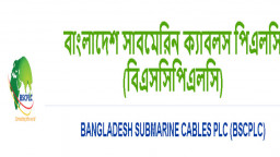 বাংলাদেশ সাবমেরিন ক্যাবলের প্রথম প্রান্তিক প্রকাশ