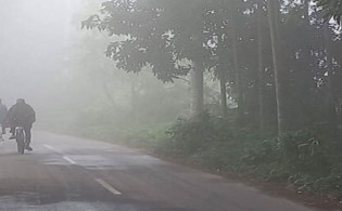 বৃষ্টি-কুয়াশা নিয়ে যে বার্তা জানা গেল