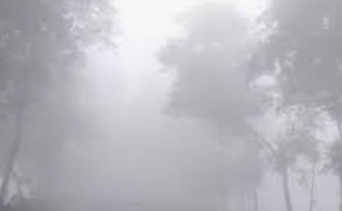 সারাদেশে মাঝারি ধরণের কুয়াশা পড়ার সম্ভাবনা