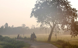 আবহাওয়া নিয়ে দুঃসংবাদ: আবারও শৈত্যপ্রবাহের আশঙ্কা