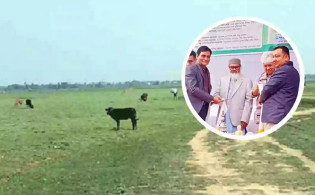 বাংলাদেশকে ৬ একর জমি দিচ্ছে নেপাল, ঘোষণা ধর্ম উপদেষ্টার