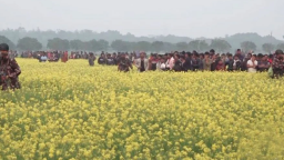 বাংলাদেশি হাইকমিশনারকে তলব করে যা বললো ভারত