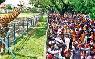 নতুন নিয়ম চিড়িয়াখানায়: পুরুষের একা প্রবেশ নিষেধ