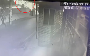 উপদেষ্টা ফরিদা আখতারের প্রতিষ্ঠানে পেট্রোল বোমা নিক্ষেপ