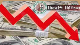 পাঁচ কোম্পানিতে কমেছে বিদেশি বিনিয়োগ