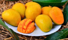 কখন আম খাওয়া উচিত নয়