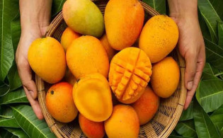 গরমকালে দীর্ঘদিন আম টাটকা রাখবেন যেভাবে