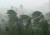 ধেয়ে আসছে ঝড়, ৪ অঞ্চলে জরুরি সতর্কতা