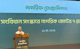 নতুন সংবিধান প্রণয়ন হতে অনেক সময় লাগবে: আসিফ নজরুল