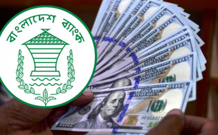 ডলারের রেট নিয়ে বড় ঘোষণা দিল বাংলাদেশ ব্যাংক